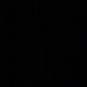 Meet your Posher, Sienna